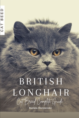 British Longhair: Cat Breed Complete Guide Read Between The - Main Image
