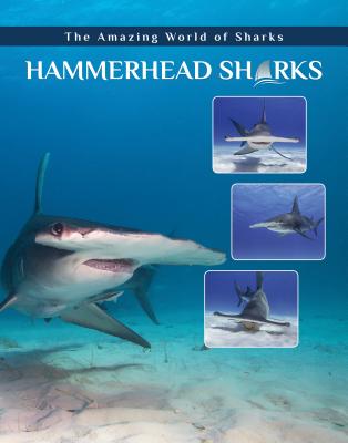 Hammerhead Sharks By Joyce A. Hull Cover Image