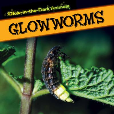 Glowworms (Glow-In-The-Dark Animals)