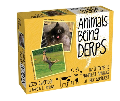 Animals Being Derps 2023 Day-to-Day Calendar: The Internet's Funniest Animals at Their Goofiest By Beverly L. Jenkins Cover Image