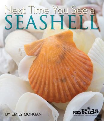 Next Time You See a Seashell By Emily Morgan Cover Image