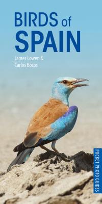 Birds of Spain (Pocket Photo Guides) By James Lowen, Carlos Bocos Gonzalez Cover Image