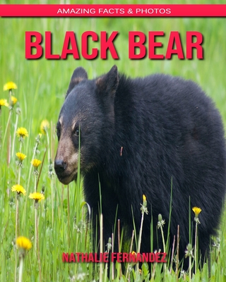 Black Bear: Amazing Facts & Photos