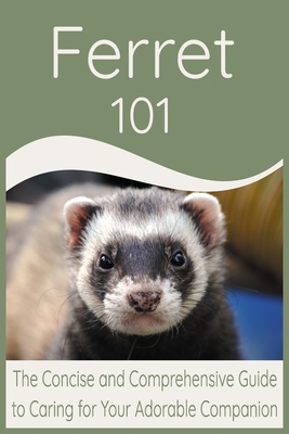 Ferret 101 cheap