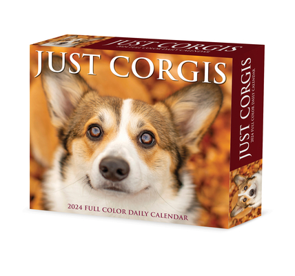 Corgis 2024 6.2 X 5.4 Box Calendar Cover Image