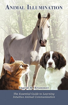 Animal Illumination: The Essential Guide to Learning Intuitive Animal Communication (Paperback) | Theodore's Bookshop Animal Illumination: The Essential Guide to Learning Intuitive Animal Communication (Paperback) | Theodore's Bookshop