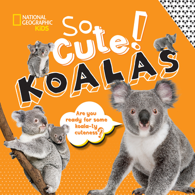 So Cute! Koalas (So Cool/So Cute) By Crispin Boyer Cover Image