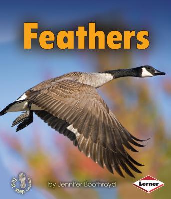 Feathers (First Step Nonfiction -- Body Coverings) Cover Image