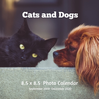 Cats and Dogs 8.5 X 8.5 Photo Calendar September 2019 -December 2020:  Monthly Calendar with U.S./UK/ Canadian/Christian/Jewish/Muslim  Holidays-Puppies (Paperback) | Changing Hands Bookstore