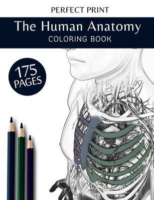 anatomy coloring book pages to print