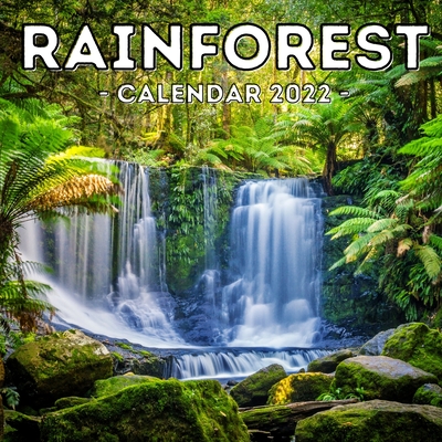 Rainforest Calendar 2022: 16-Month Calendar, Cute Gift Idea For Forest Lovers Women & Men (Paperback) | Politics And Prose Bookstore