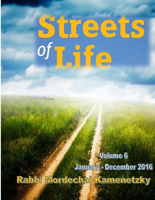 Streets of Life Collection Vol. 6 - 2016: Reflections on Life's Amazing Journeys and the Paths that Lead There By Mordechai Kamenetzky Cover Image
