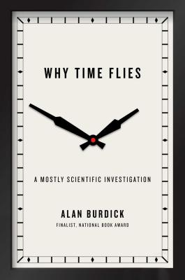 Why Time Flies: A Mostly Scientific Investigation Cover Image