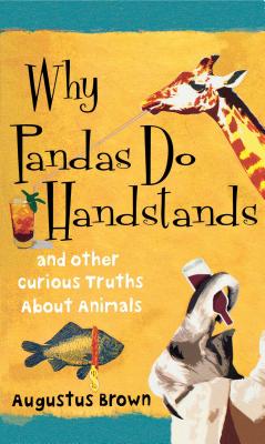 Why Pandas Do Handstands: And Other Curious Truths About Animals By Augustus Brown Cover Image
