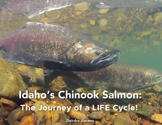 Idaho's Chinook Salmon: The Journey of a LIFE Cycle By Deirdre A. Abrams, Becky Bjork (Illustrator) Cover Image