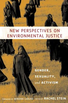 New Perspectives on Environmental Justice Cover