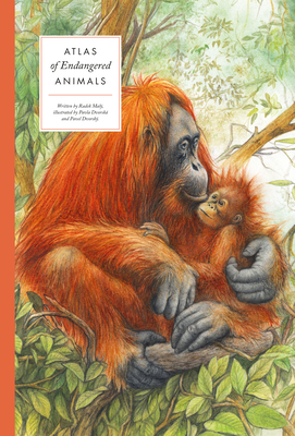 Atlas of Endangered Animals By Radek Maly, Pavel Dvorsky (Illustrator), Pavla Dvorska (Illustrator) Cover Image