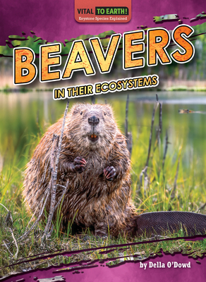 Beavers in Their Ecosystems Cover Image