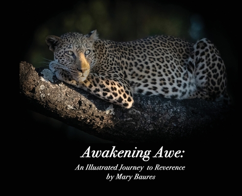 Awakening Awe: An Illustrated Journey to Reverence