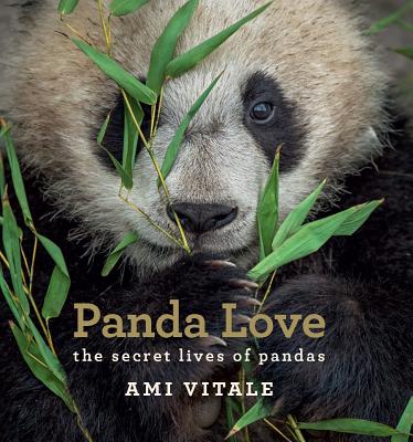 Cover for Panda Love