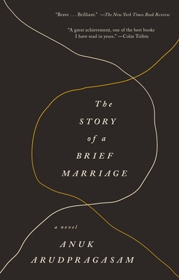 The Story of a Brief Marriage: A Novel