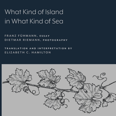 What Kind of Island in What Kind of Sea? By Franz Fühmann, Elizabeth C. Hamilton (Translated by) Cover Image