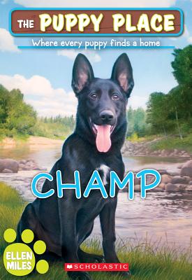 Champ (The Puppy Place #43) Cover Image