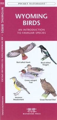 Mississippi Birds: A Folding Pocket Guide to Familiar Species Cover Image
