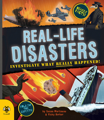 Real-life Disasters: Investigate what really happened! (Real Life)