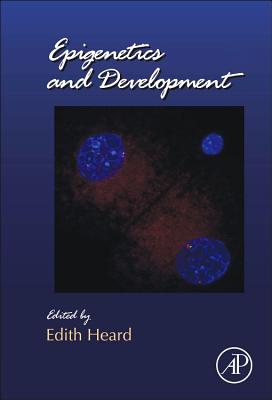 Epigenetics and Development: Volume 104 (Current Topics in Developmental Biology #104) Cover Image