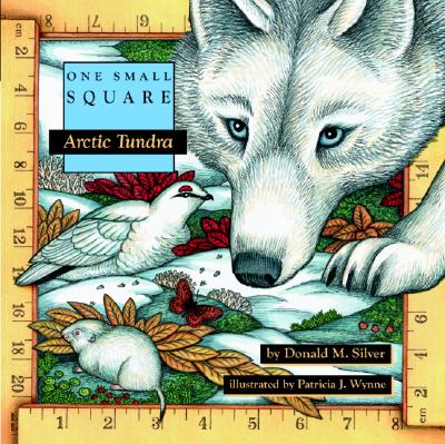 Arctic Tundra (One Small Square)