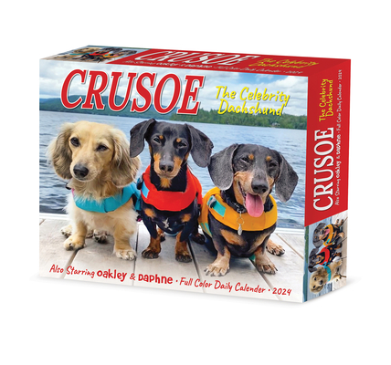 Crusoe the Celebrity Dachshund 2024 6.2 X 5.4 Box Calendar By Ryan Beauchesne (Created by) Cover Image