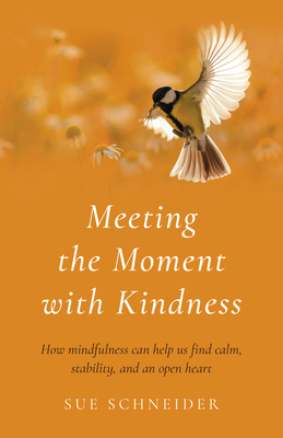 Meeting the Moment with Kindness: How Mindfulness Can Help Us Find Calm, Stability, and an Open Heart