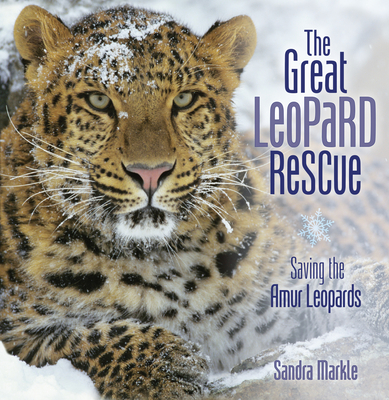 The Great Leopard Rescue: Saving the Amur Leopards (Sandra Markle's Science Discoveries)