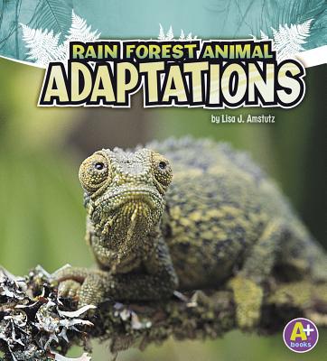 Rain Forest Animal Adaptations (Amazing Animal Adaptations) (Hardcover) |  Hooked