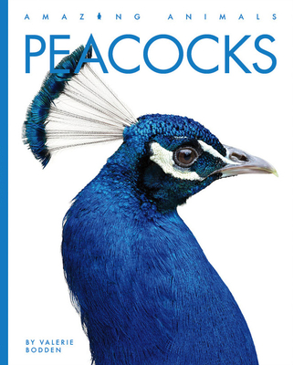 Peacocks (Amazing Animals) (Paperback) | Books and Crannies