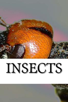 Insects By Insect Cover Image