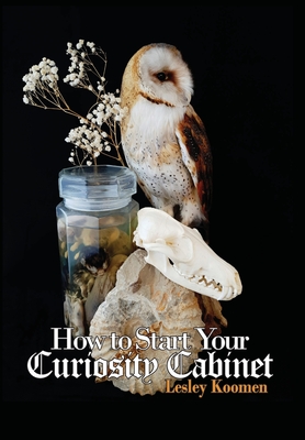 How to Start Your Curiosity Cabinet Cover Image