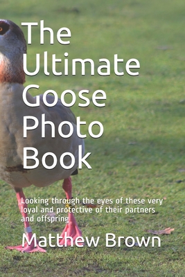 The Ultimate Goose Photo Book: Looking through the eyes of these very loyal and protective of their partners and offspring By Matthew Brown Cover Image