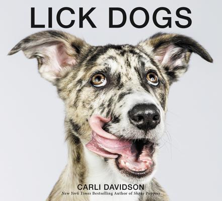 Lick Dogs By Carli Davidson Cover Image