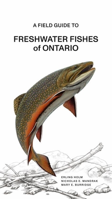 A Fish Guide to Freshwater Fishes of Ontario By Erling Holm (Text by (Art/Photo Books)), Nicholas E. Mandrak (Text by (Art/Photo Books)), Mary E. Burridge (Text by (Art/Photo Books)) Cover Image