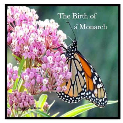 The Birth Of A Monarch: Metamorphosis of a Monarch Butterfly