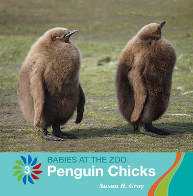 Penguin Chicks Cover Image