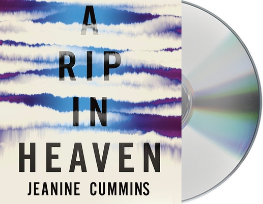 A Rip in Heaven Cover Image