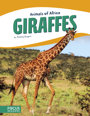 Giraffes By Tammy Gagne Cover Image