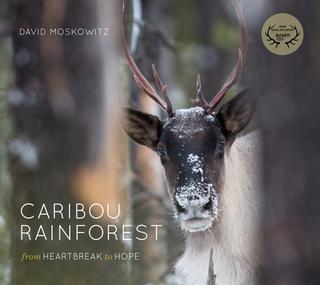 Caribou Rainforest: From Heartbreak to Hope By David Moskowitz Cover Image