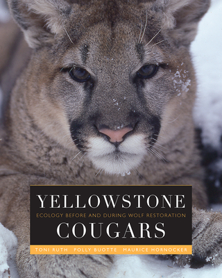 Yellowstone Cougars: Ecology before and during Wolf Restoration By Toni K. Ruth, Polly C. Buotte, Maurice G. Hornocker, L. David Mech (Foreword by) Cover Image