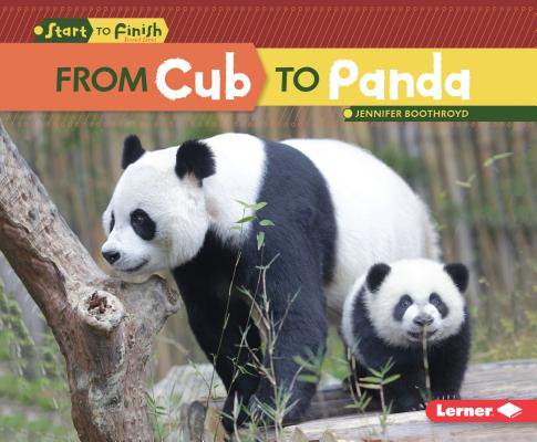 From Cub to Panda (Start to Finish) Cover Image