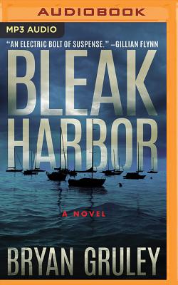 Cover for Bleak Harbor