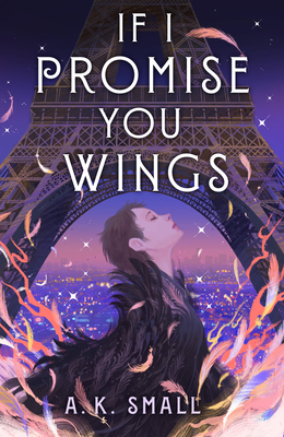If I Promise You Wings By A.K. Small Cover Image